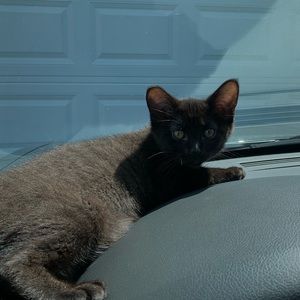 Meet your Posher, Kylee